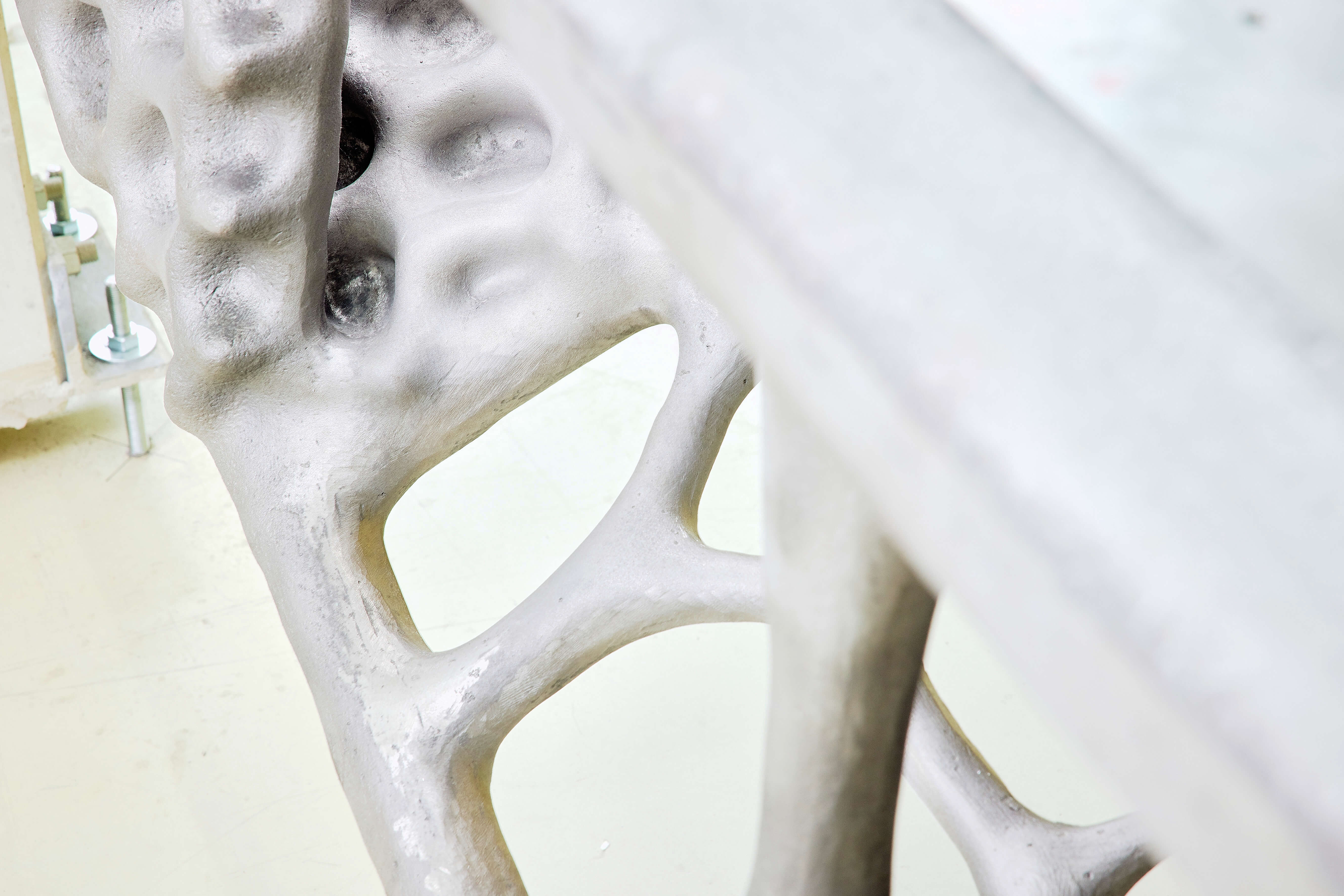 The previous model: a bionic model